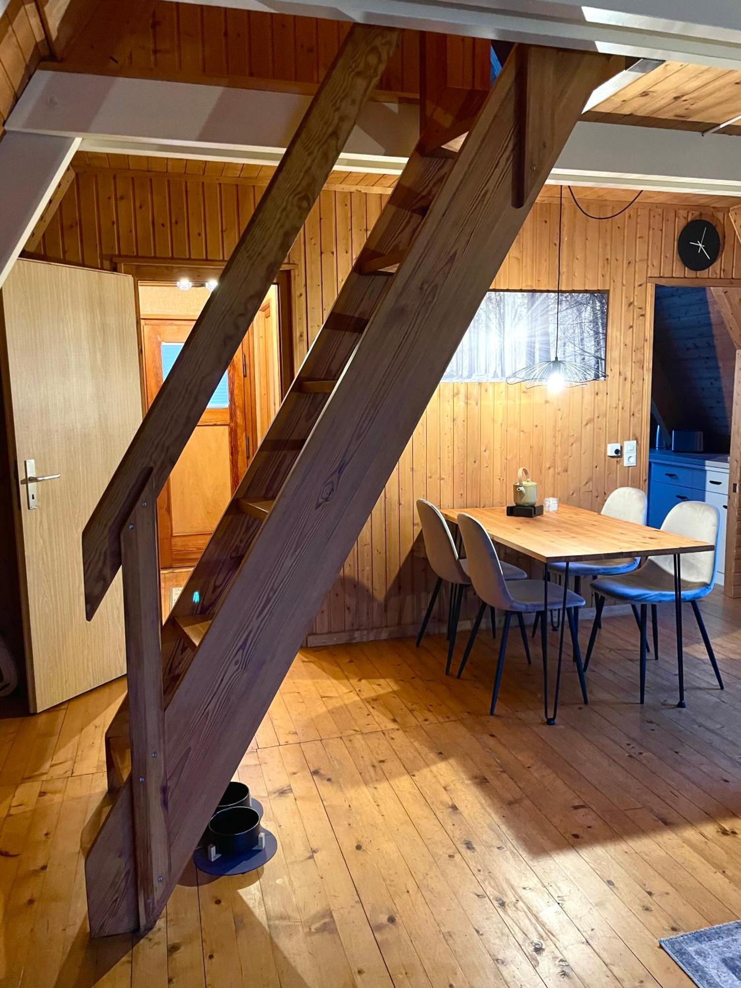 Nur-Dach-Haus Am Alfsee Rieste Dış mekan fotoğraf